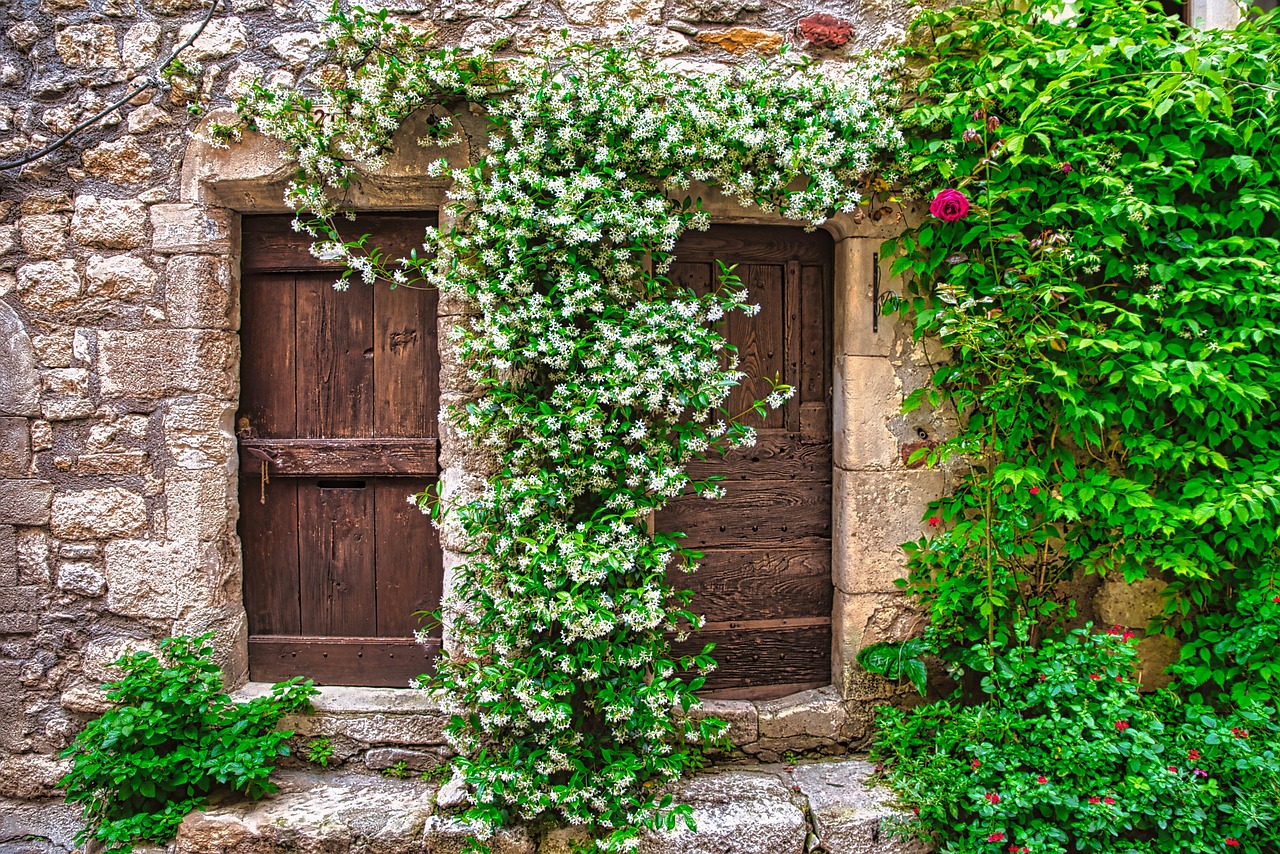 Rampicanti in fiore su un balcone, ideali per spazi ridotti e decorativi.