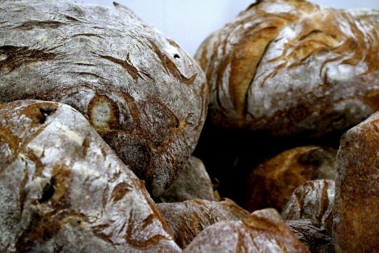 Pane di Altamura DOP, crosta dorata e interna morbida, simbolo della tradizione gastronomica locale.
