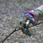 Guanti in pelle resistenti alle spine, confrontati con guanti di stoffa decorati con rose.