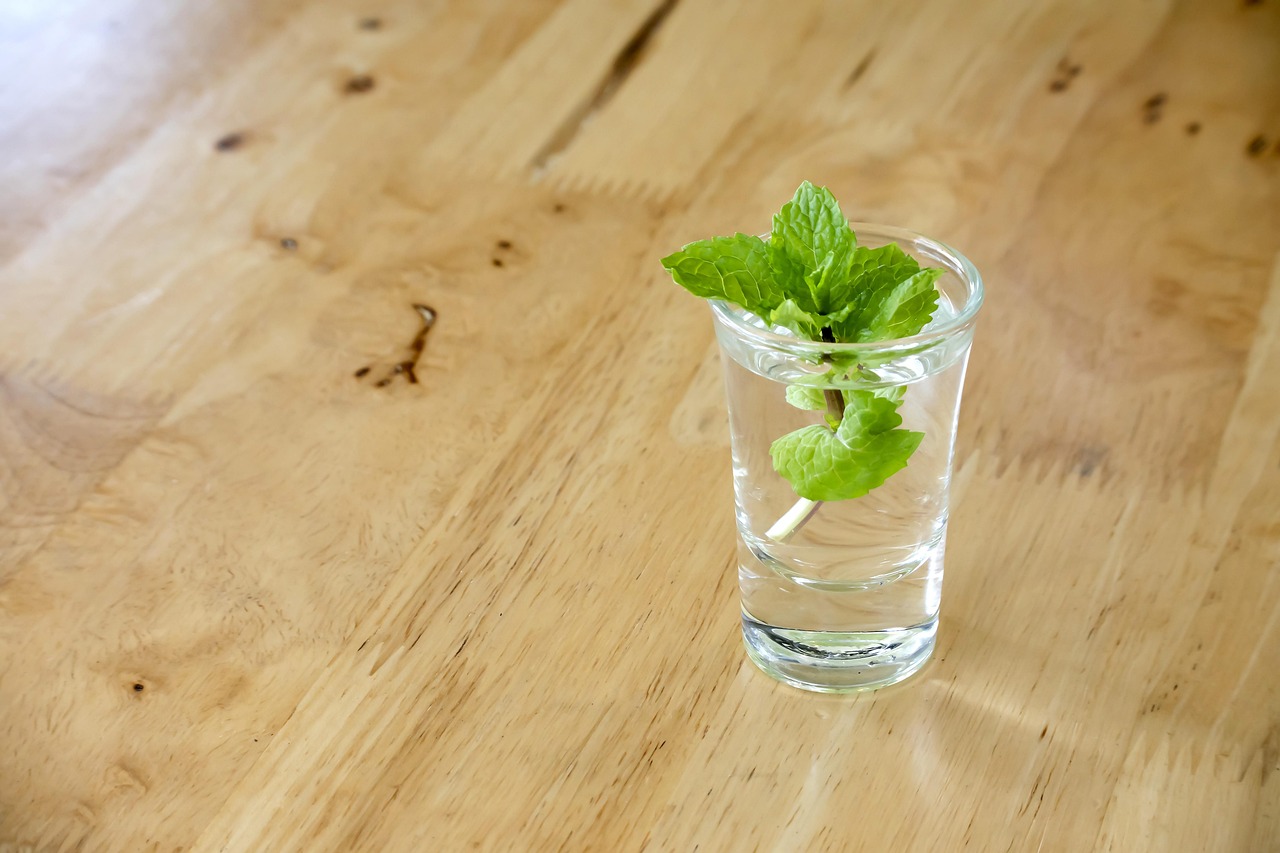 Menta fresca coltivata in vaso, simbolo di benessere e aromaterapia domestica.