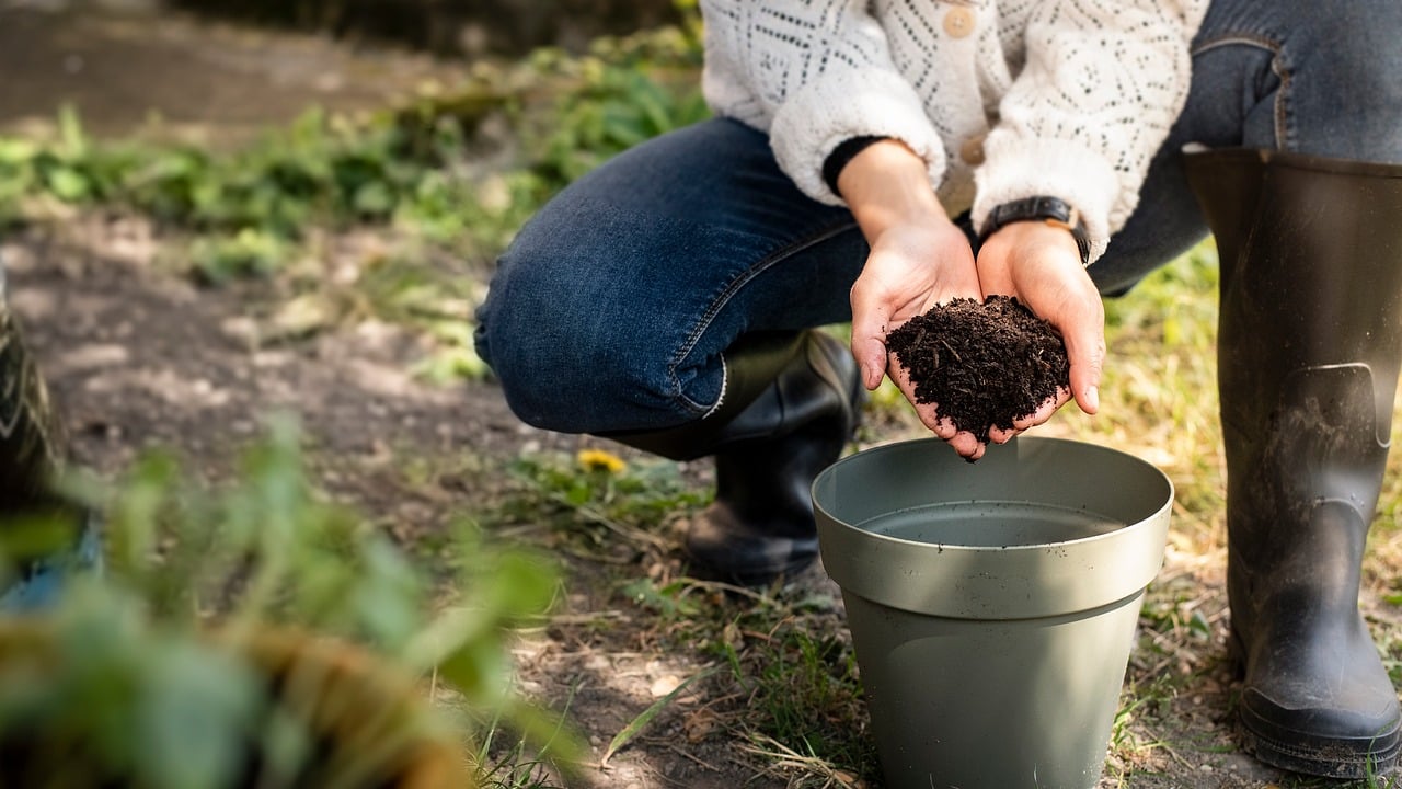 Fondo di caffè versato su terreno con piante, esempio di concimazione naturale.