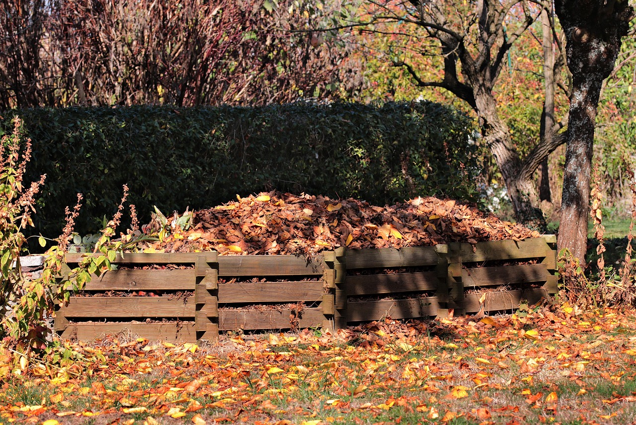 Foglie secche usate come pacciamatura nel giardino, sostituendo teli costosi per una protezione naturale.