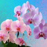 Fiori di orchidea circondati da chicchi di caffè, simbolo di fertilizzazione ecologica.