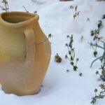 Orto invernale rigoglioso con piante verdi e attrezzi per la coltivazione sotto un cielo nuvoloso.
