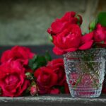Talea di rose immerse in acqua, metodo tradizionale per radicare piante.