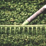 Prato verde rigoglioso con attrezzi da giardinaggio, simbolo di cura e manutenzione del giardino.